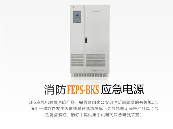 四川狗子28电力：消防EPS应急电源